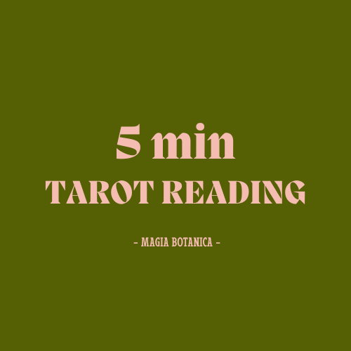 5 minute Tarot Reading